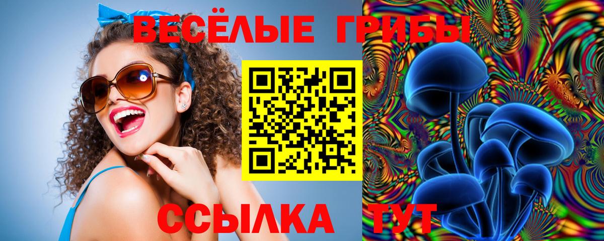 Галлюциногенные грибы Psilocybe  Вход с VPN  Родники  Псилоцибиновые грибы Magic Shrooms 