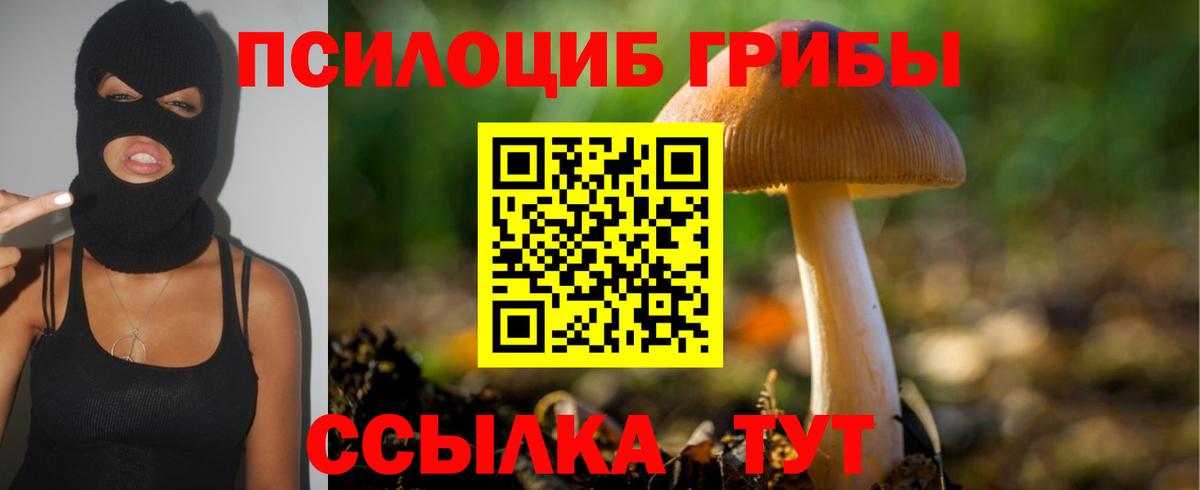 Галлюциногенные грибы MAGIC MUSHROOMS Родники